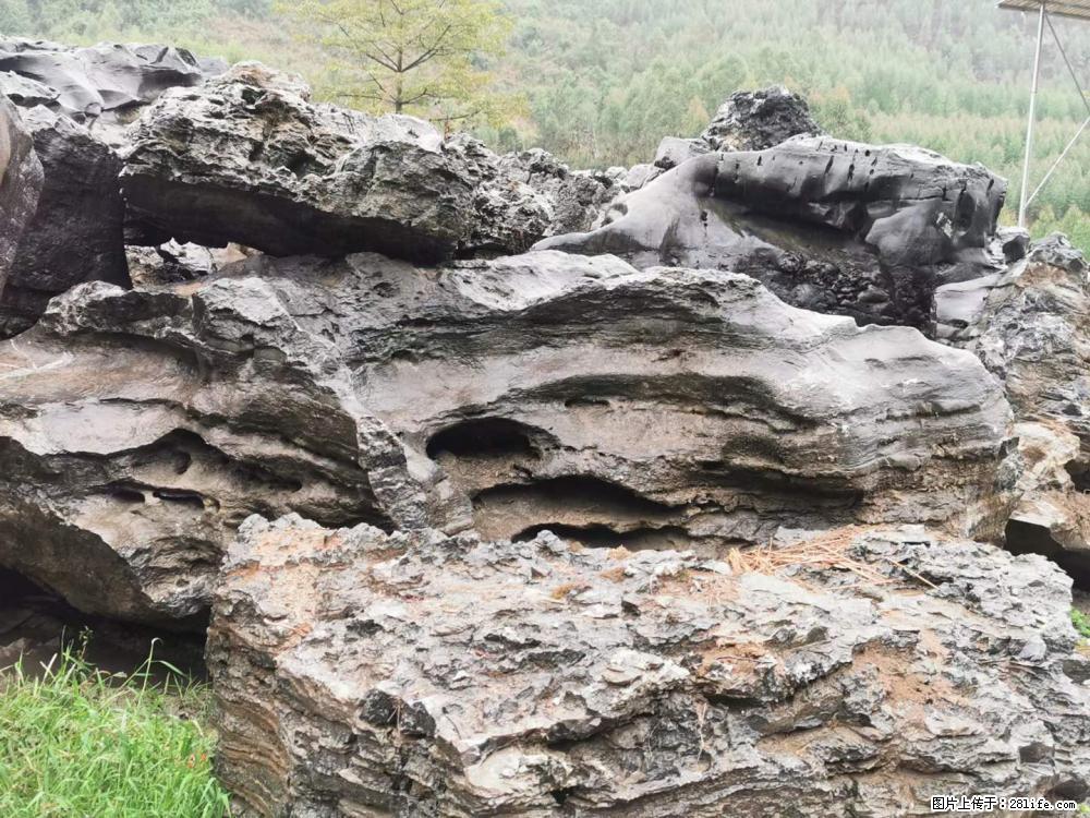 风景石、假山石大量有货，有需要的欢迎联系 - 新手上路 - 黄冈生活社区 - 黄冈28生活网 hg.28life.net
