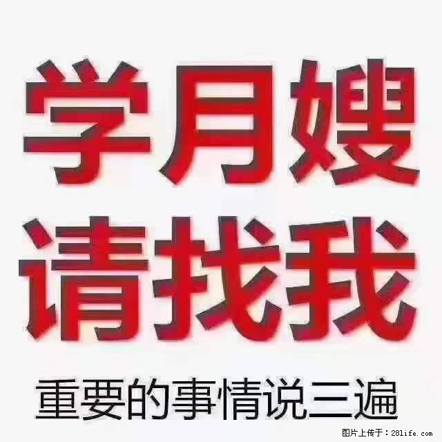 为什么要学习月嫂，育婴师？ - 新手上路 - 黄冈生活社区 - 黄冈28生活网 hg.28life.net