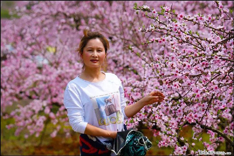 【春天，广西桂林灌阳县向您发出邀请！】官庄村有个醉美的桃花园 - 游山玩水 - 黄冈生活社区 - 黄冈28生活网 hg.28life.net