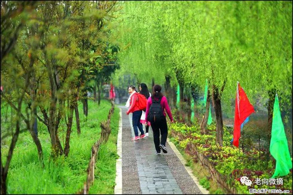 【春天,广西桂林灌阳县向您发出邀请!】江口老街又逢春 - 游山玩水 - 黄冈生活社区 - 黄冈28生活网 hg.28life.net