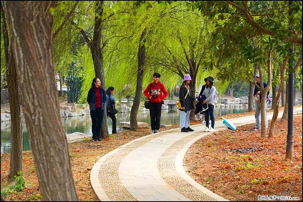 【春天,广西桂林灌阳县向您发出邀请!】江口老街又逢春 - 游山玩水 - 黄冈生活社区 - 黄冈28生活网 hg.28life.net