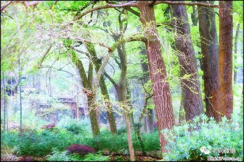 【春天，广西桂林灌阳县向您发出邀请！】在小龙村与春天约会 - 游山玩水 - 黄冈生活社区 - 黄冈28生活网 hg.28life.net