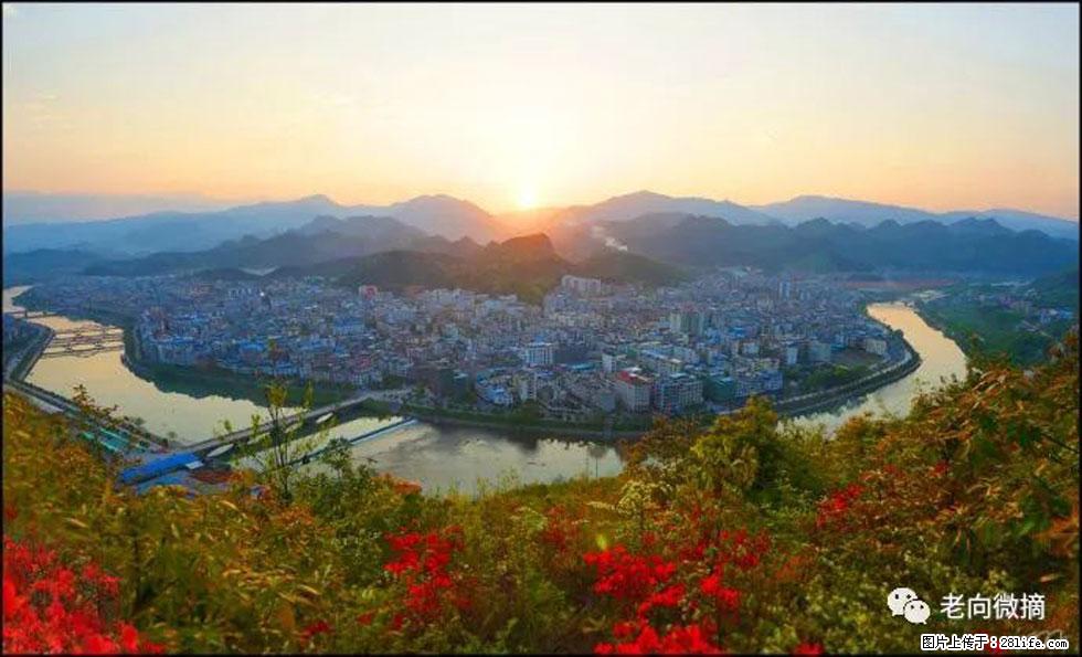 【春天，广西桂林灌阳县向您发出邀请！】登麒麟山，相约映山红 - 游山玩水 - 黄冈生活社区 - 黄冈28生活网 hg.28life.net