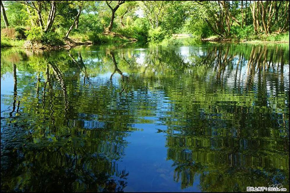 【春天，广西桂林灌阳县向您发出邀请！】熊家寨湿地公园 - 游山玩水 - 黄冈生活社区 - 黄冈28生活网 hg.28life.net