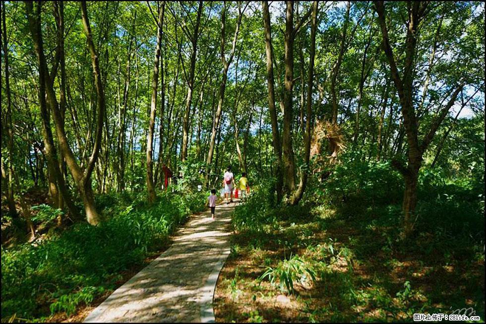 【春天，广西桂林灌阳县向您发出邀请！】熊家寨湿地公园 - 游山玩水 - 黄冈生活社区 - 黄冈28生活网 hg.28life.net