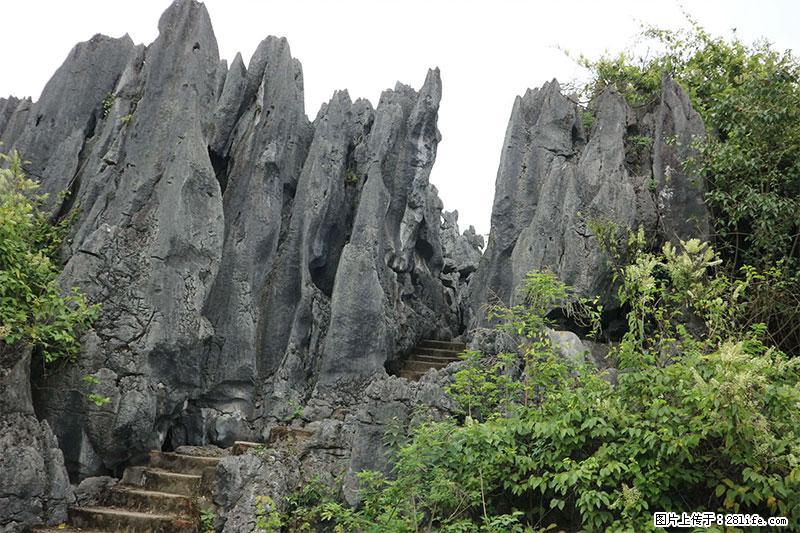 桂林旅游名城景点：灌阳文市石林 - 游山玩水 - 黄冈生活社区 - 黄冈28生活网 hg.28life.net