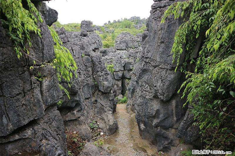 桂林旅游名城景点：灌阳文市石林 - 游山玩水 - 黄冈生活社区 - 黄冈28生活网 hg.28life.net