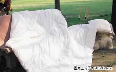 被子有异味？只要这样做，比晒太阳还强100倍！ - 家居生活 - 黄冈生活社区 - 黄冈28生活网 hg.28life.net