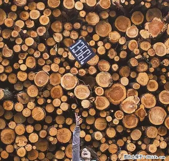 辞掉工作周游世界？现在他们在洗厕所…… - 游山玩水 - 黄冈生活社区 - 黄冈28生活网 hg.28life.net