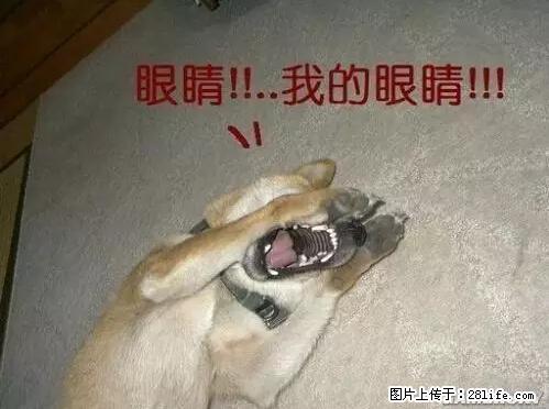 笑癫了！一女的怀孕三年未生，他终于忍不住了... - 娱乐八卦 - 黄冈生活社区 - 黄冈28生活网 hg.28life.net
