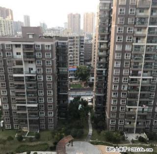 园林级小区，精品高层电梯公寓，带阳台，高管居家优选（可短租） - 黄冈28生活网 hg.28life.net