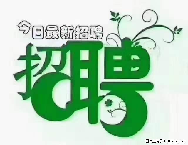 【招聘摄像师】待遇：试用期6000元/月，转正7000元/月+五险一金+餐补+节日福利+奖金 - 职场交流 - 黄冈生活社区 - 黄冈28生活网 hg.28life.net
