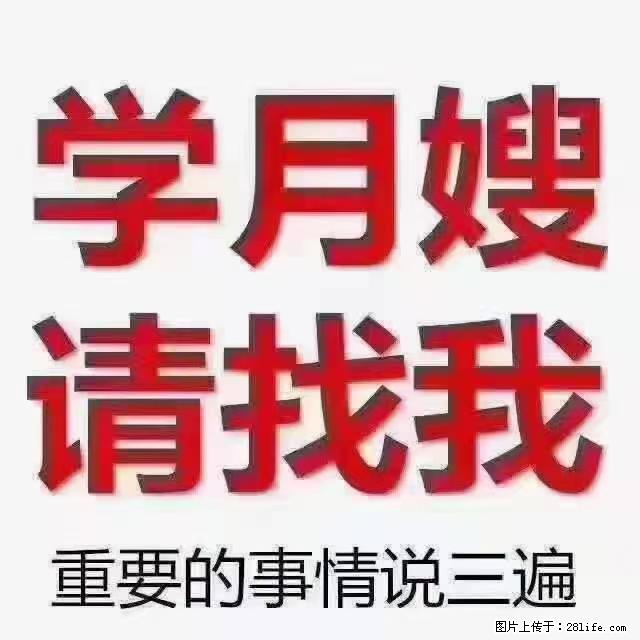 【招聘】月嫂，上海徐汇区 - 职场交流 - 黄冈生活社区 - 黄冈28生活网 hg.28life.net