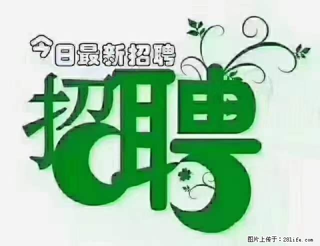 上海隔离酒店招人：55岁以下 男女不限 - 职场交流 - 黄冈生活社区 - 黄冈28生活网 hg.28life.net