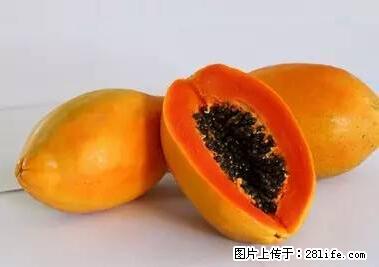 晕车、脚气、牙齿变黄、皮肤粗糙？学会这些三分钟搞定！ - 黄冈生活资讯 - 黄冈28生活网 hg.28life.net