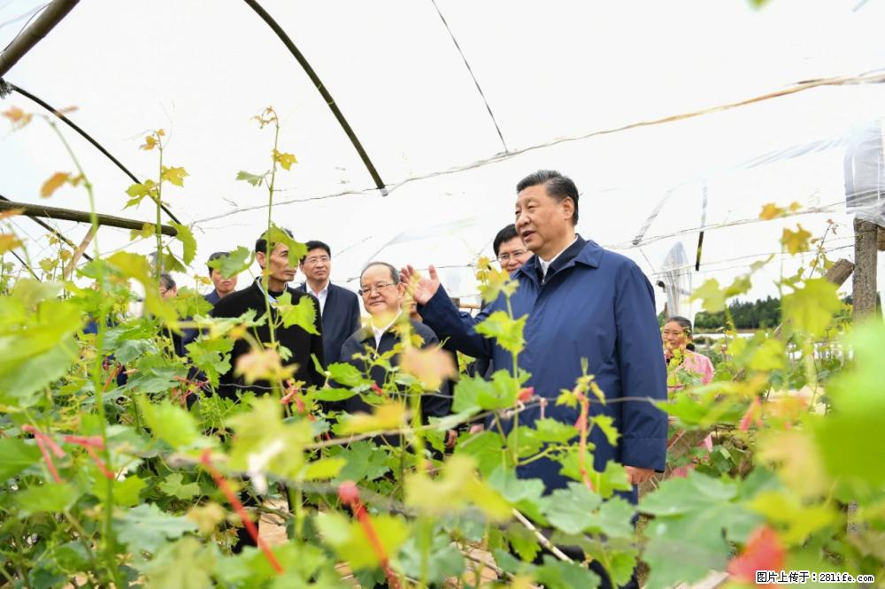 习近平赴广西考察调研 - 黄冈生活资讯 - 黄冈28生活网 hg.28life.net