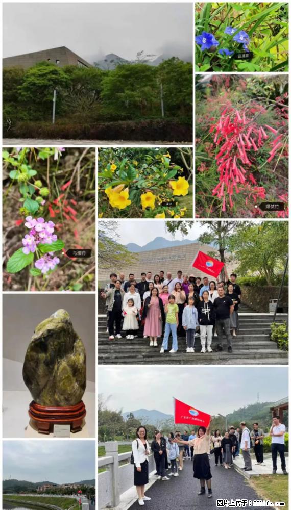 “粤灌文化 美好生活”油茶文化主题活动在广东深圳成功举办 - 黄冈生活资讯 - 黄冈28生活网 hg.28life.net