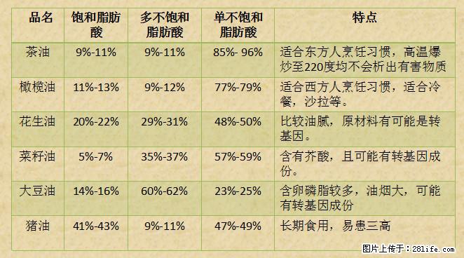 揭秘茶油的5大核心营养成分！被称为人体健康的“守护盾”！ - 黄冈生活资讯 - 黄冈28生活网 hg.28life.net