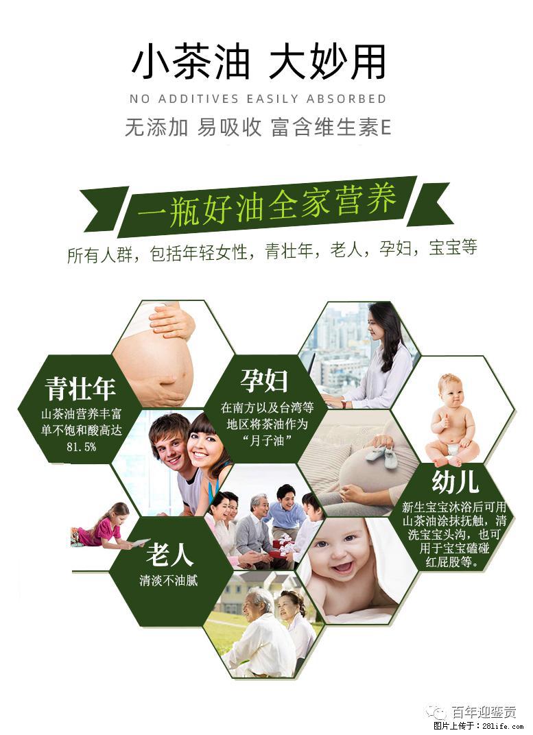 世界没有真相,只有认知,最好的食用油是中国的山茶油! - 黄冈生活资讯 - 黄冈28生活网 hg.28life.net