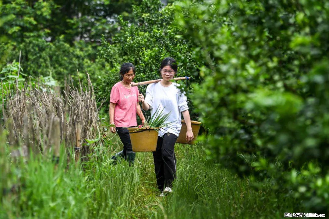 全网追的“扁担女孩”，找了一份暑假工，时薪12元 - 黄冈生活资讯 - 黄冈28生活网 hg.28life.net