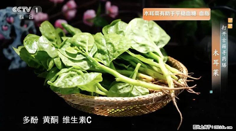 比牛奶补钙还厉害！凉血解毒、稳血糖...这菜冬天必吃，很多人却当草 - 黄冈生活资讯 - 黄冈28生活网 hg.28life.net