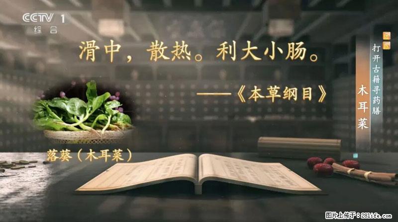 比牛奶补钙还厉害！凉血解毒、稳血糖...这菜冬天必吃，很多人却当草 - 黄冈生活资讯 - 黄冈28生活网 hg.28life.net